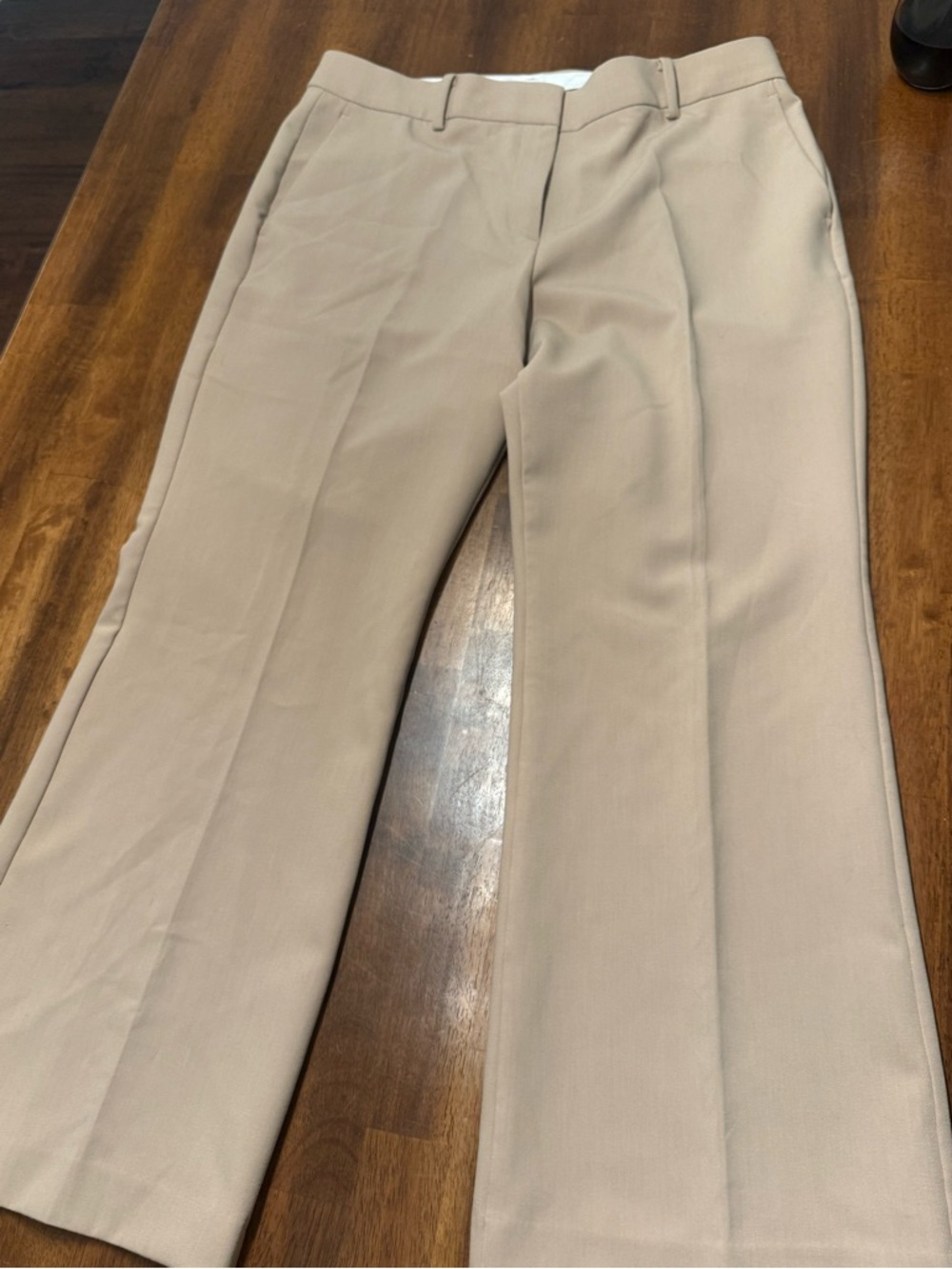 Ann Taylor women’s Jayne Classic Beige Dress Pants size 14p - never worn